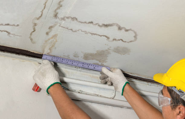 Reliable Mold Remediation contractor in Granbury, TX by Water Damage Irwin